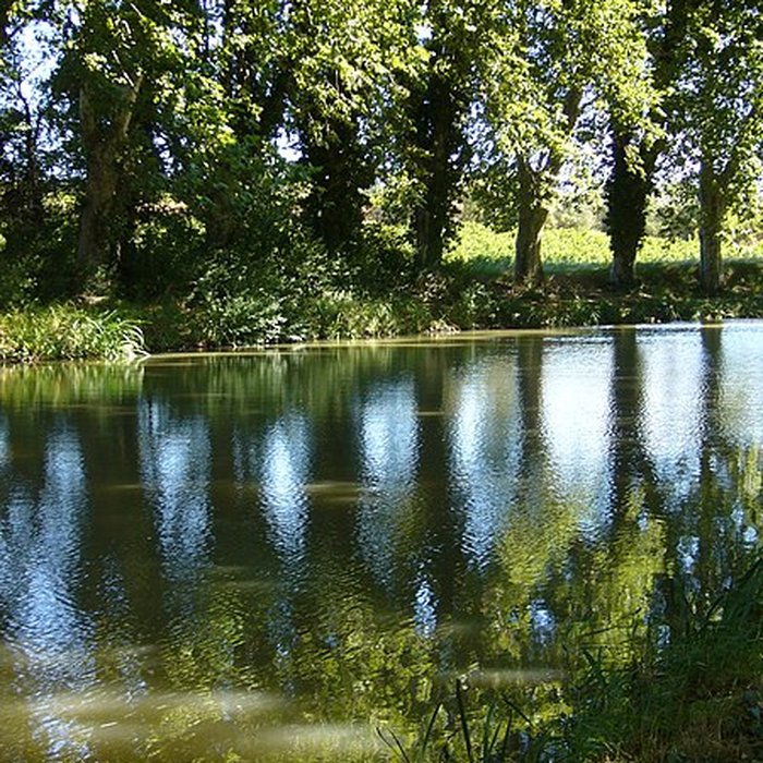 Photo de Fontaine Place Saint-Étienne à Toulouse