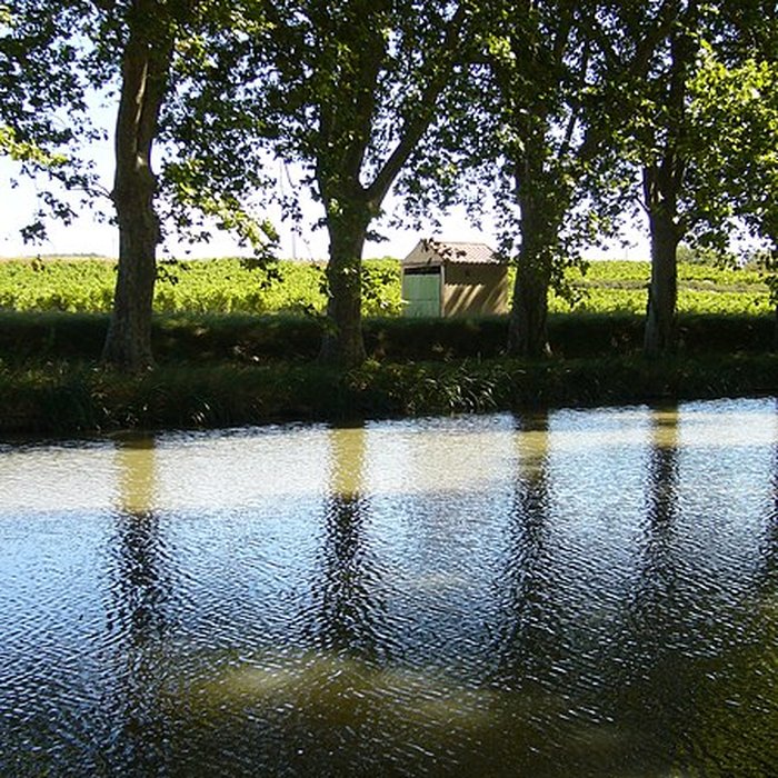 Photo de Fontaine Place Saint-Étienne à Toulouse