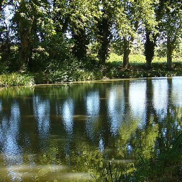 Fontaine Place Saint-Étienne à Toulouse 