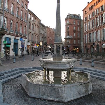 Fontaine Place Saint-Étienne à Toulouse 