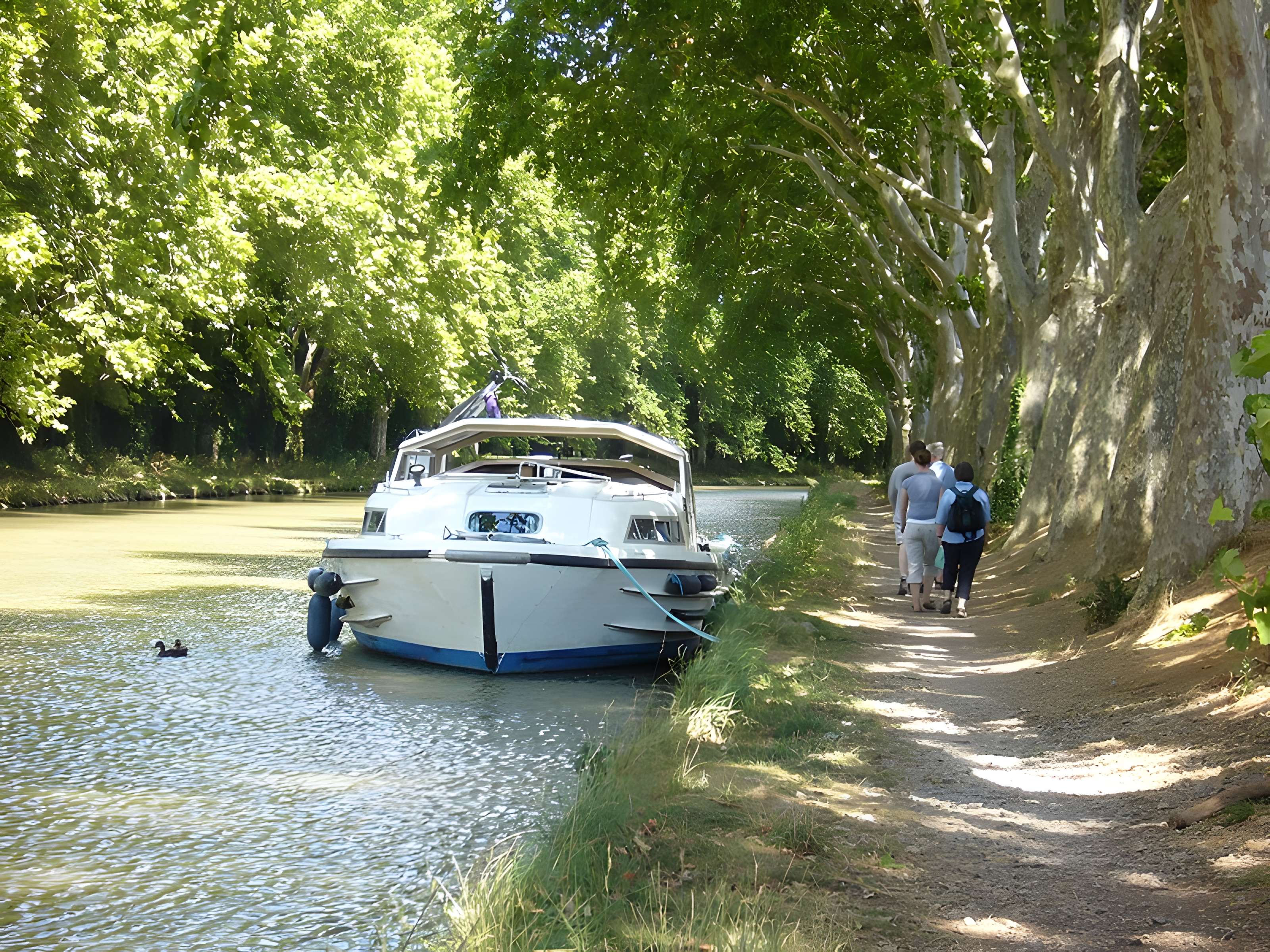 Fontaine Place Saint-Étienne à Toulouse 