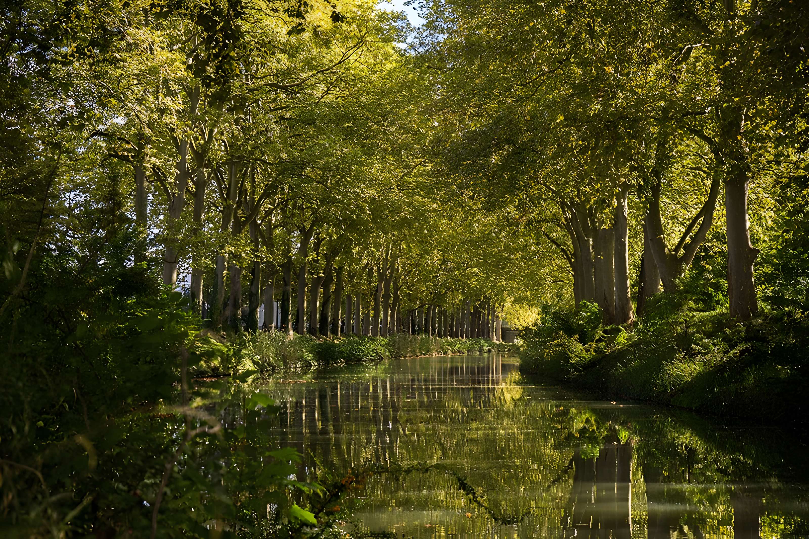 Fontaine Place Saint-Étienne à Toulouse 