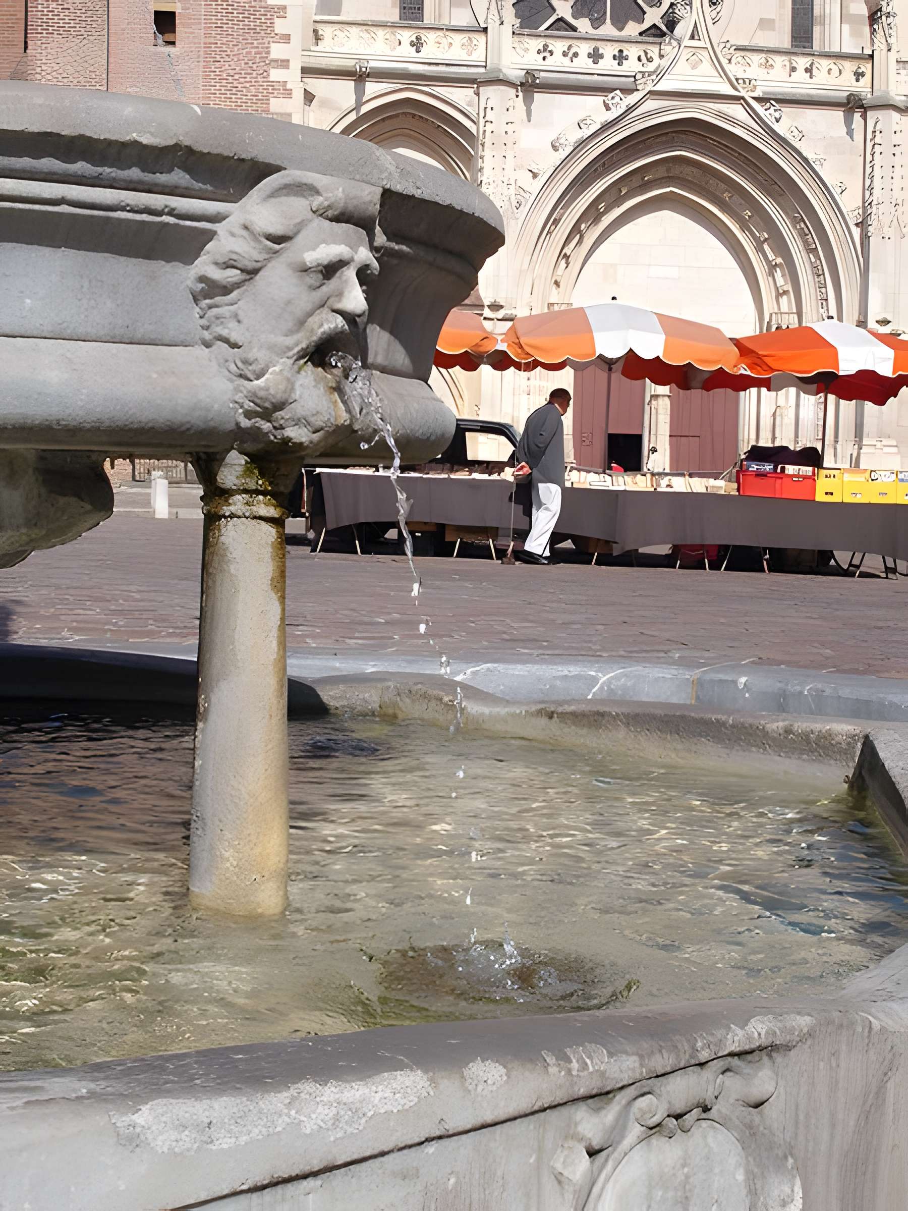 Fontaine Place Saint-Étienne à Toulouse 