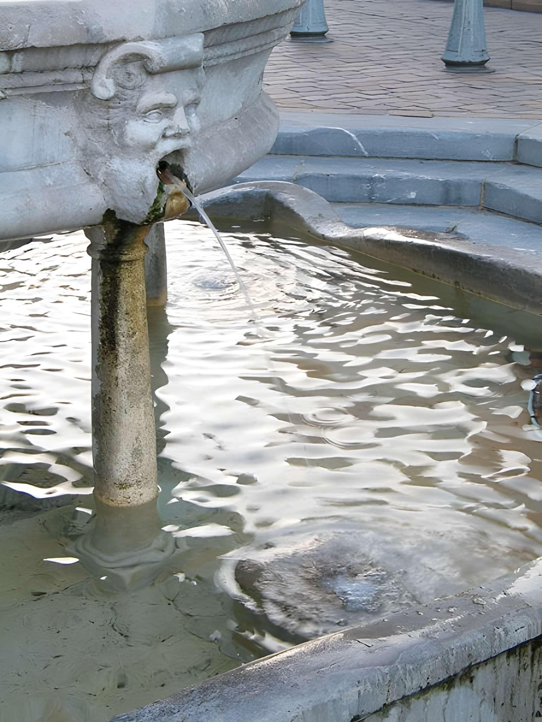 Fontaine Place Saint-Étienne à Toulouse 