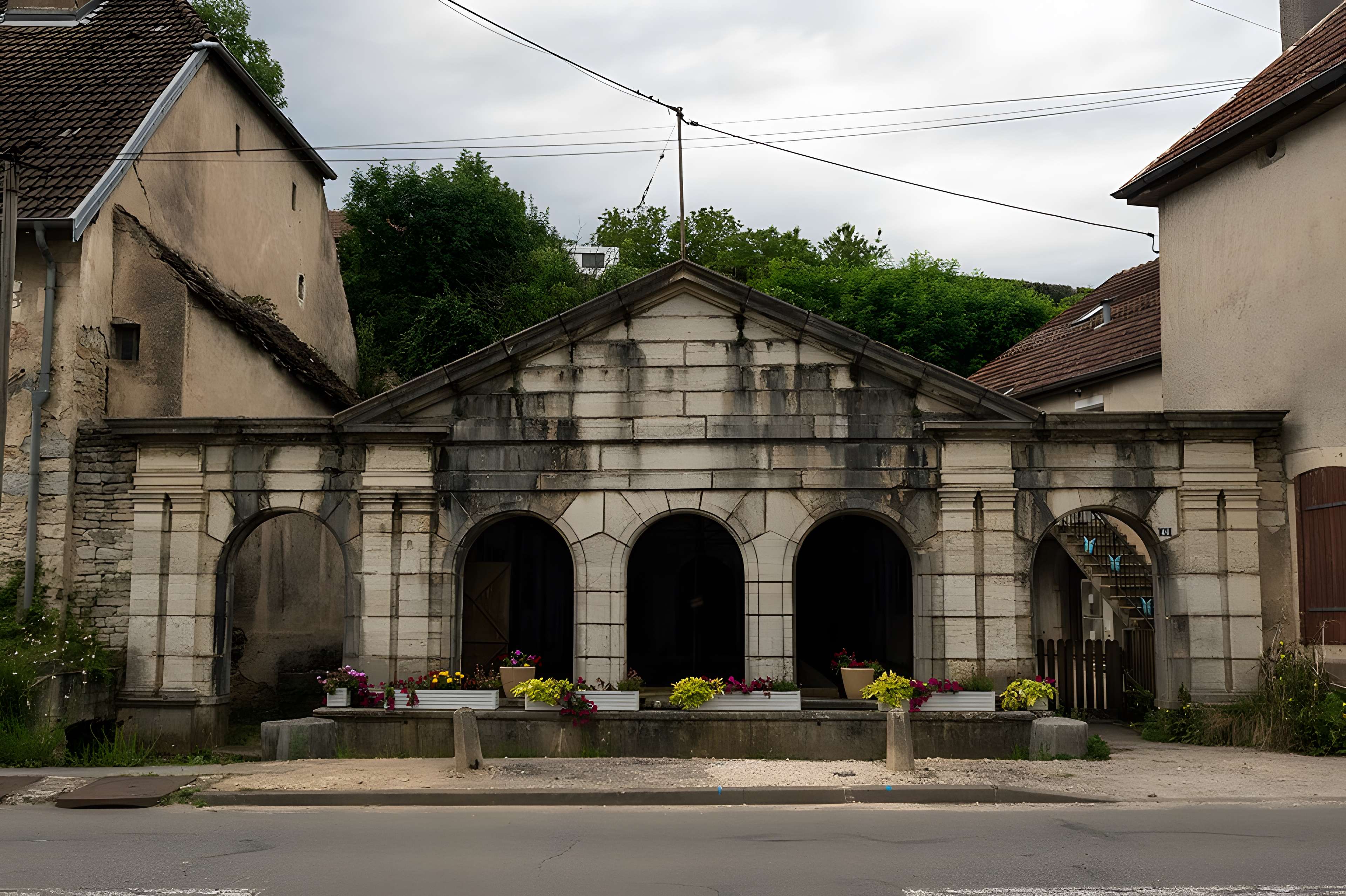 Fontaine-lavoir d'Orchamps