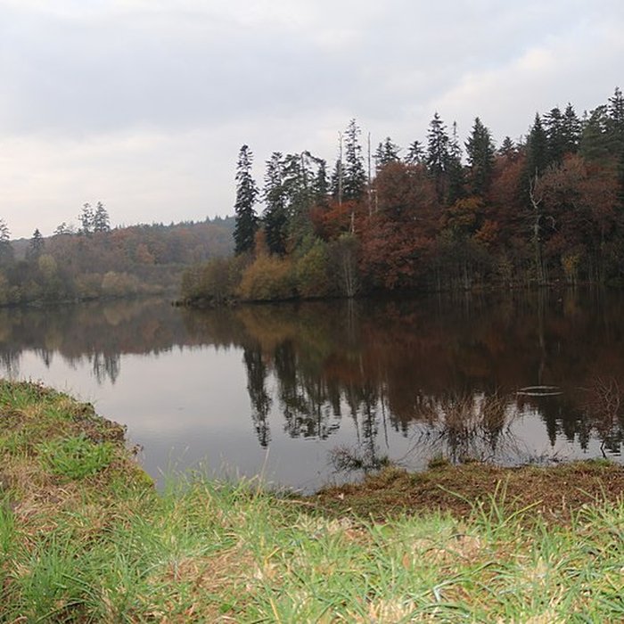 Photo de Forges de Paimpont