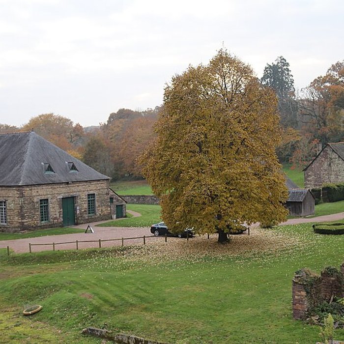 Photo de Forges de Paimpont