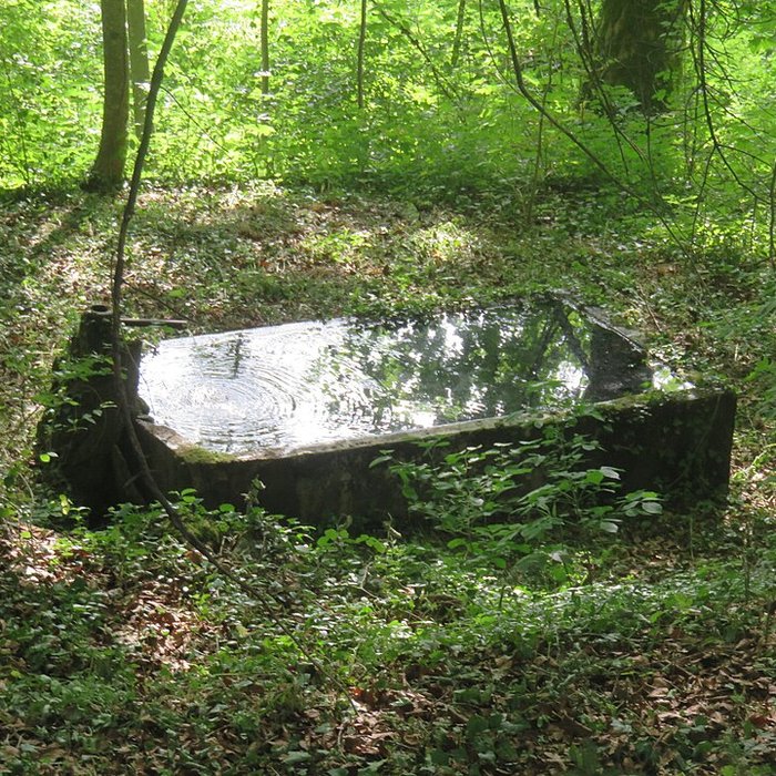 Photo de Forges de Syam