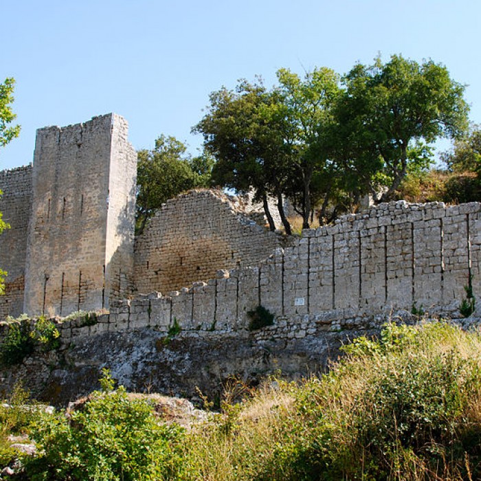 Photo de Fort vestiges du