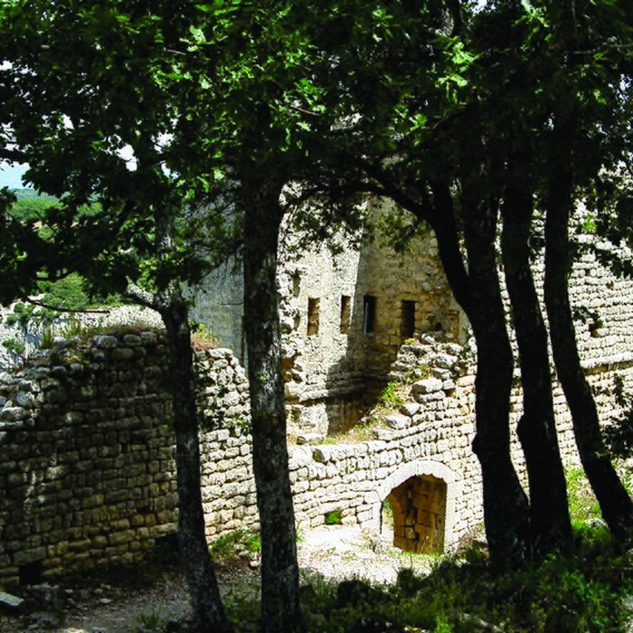 Photo de Fort vestiges du