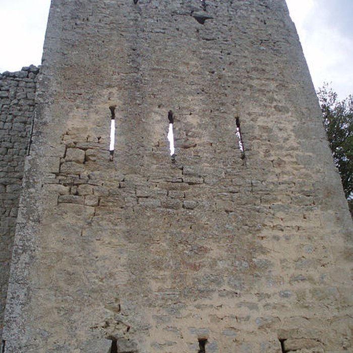 Photo de Fort vestiges du