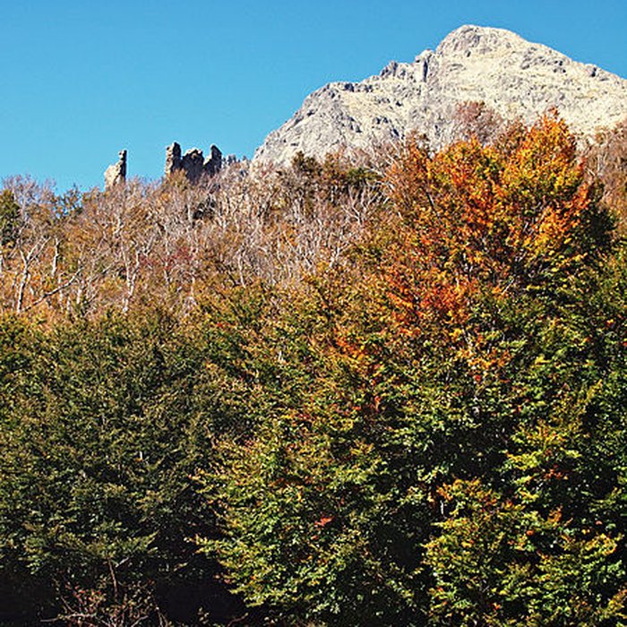 Photo de Ruines du Fort de Vizzavona
