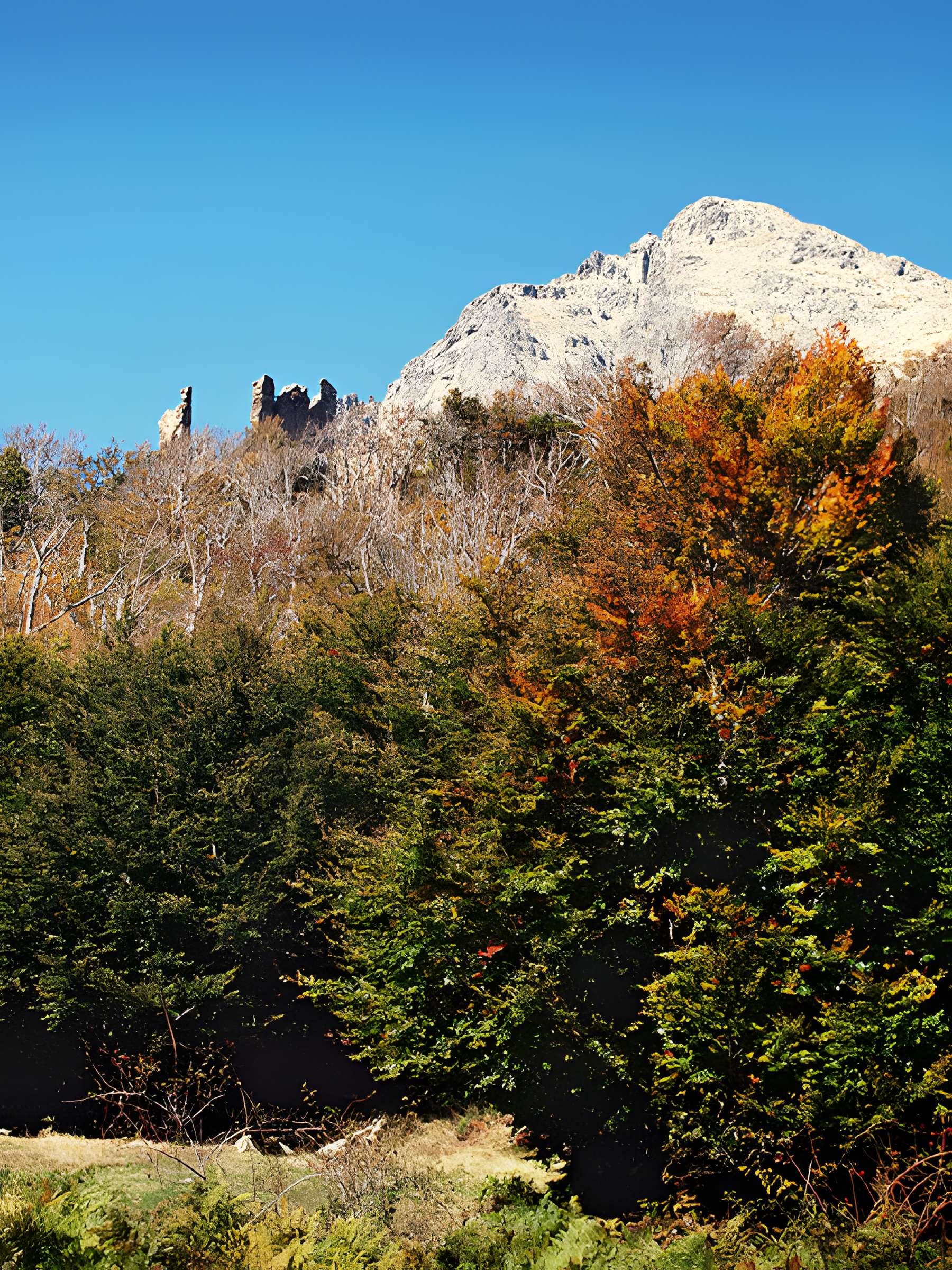 Ruines du Fort de Vizzavona