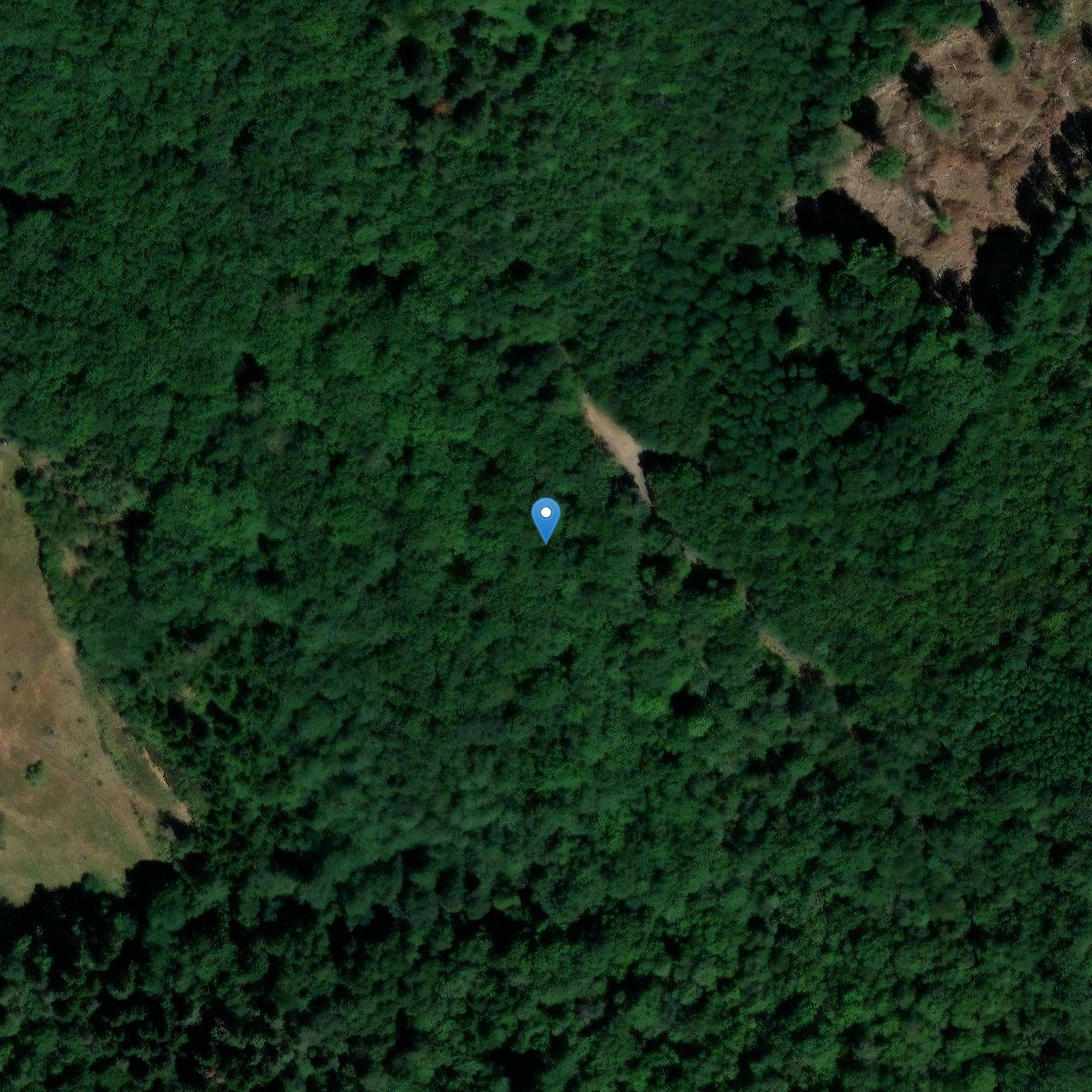 Photo de Gaulish Fortification of Puy-du-Tour in Monceaux-sur-Dordogne