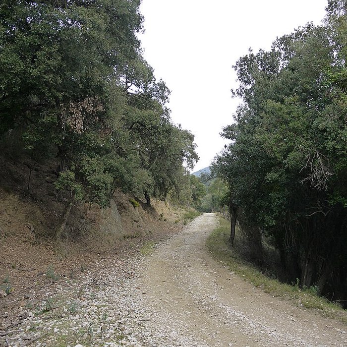 Photo de Vestiges des fortifications romaines