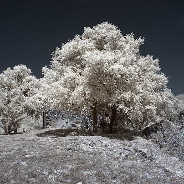 Photo de Vestiges des fortifications romaines