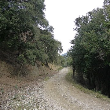 Vestiges des fortifications romaines