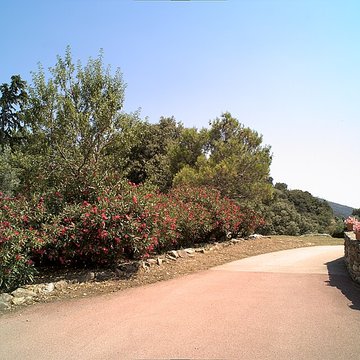 Vestiges des fortifications romaines