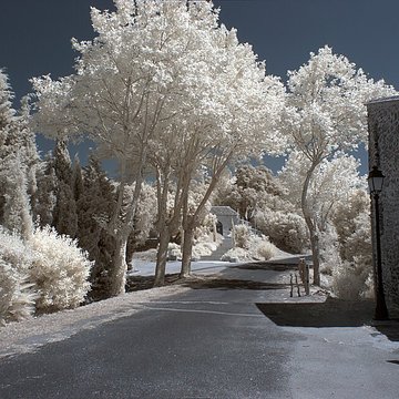 Vestiges des fortifications romaines