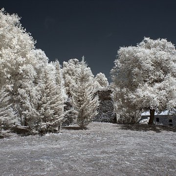 Vestiges des fortifications romaines