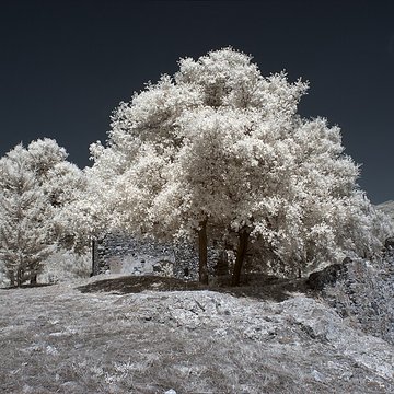 Vestiges des fortifications romaines