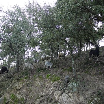 Vestiges des fortifications romaines