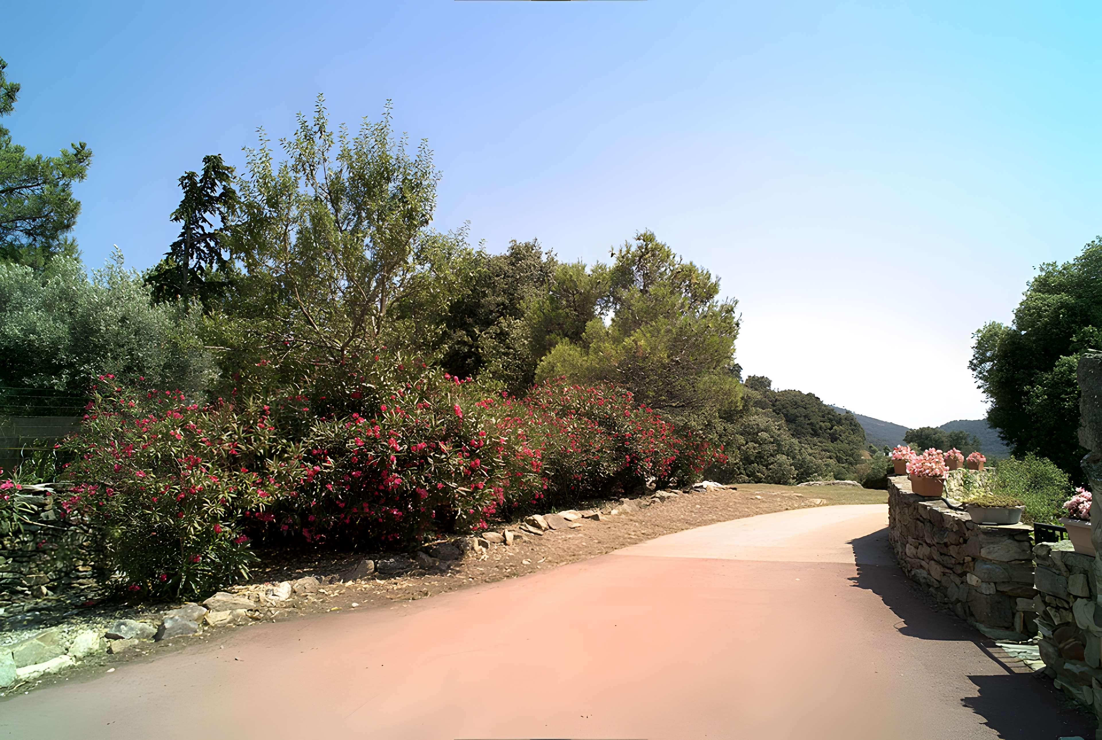 Vestiges des fortifications romaines