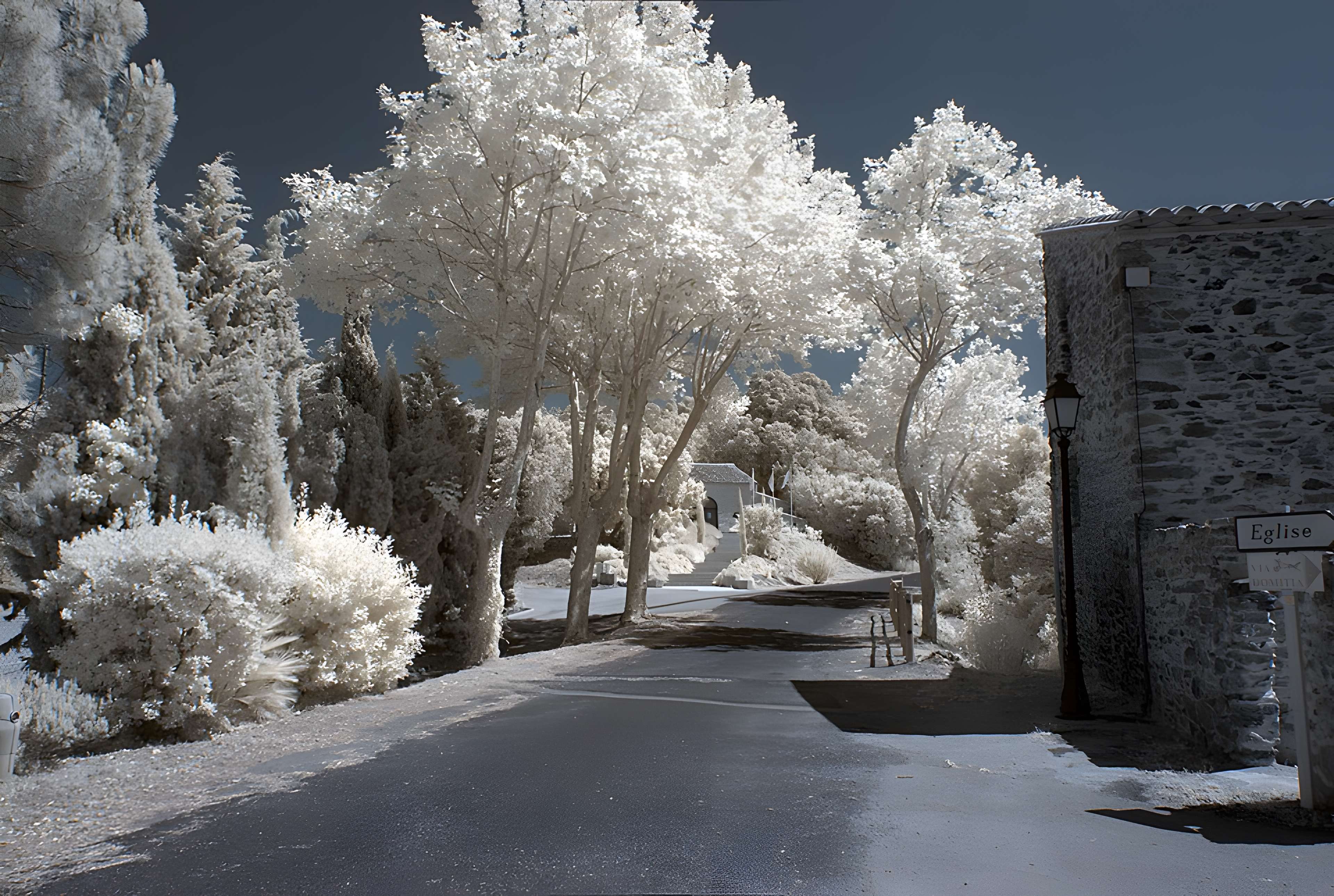 Vestiges des fortifications romaines