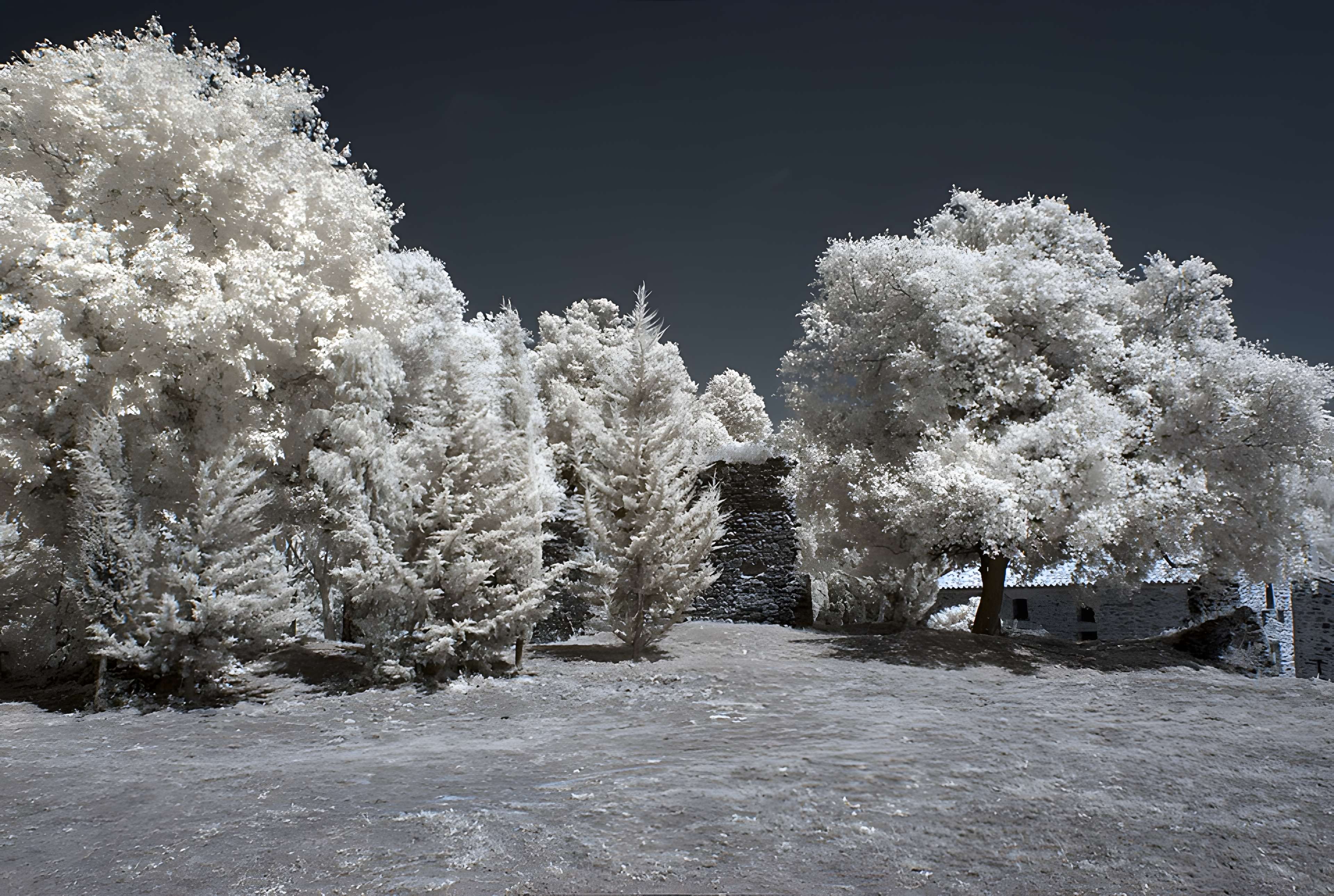 Vestiges des fortifications romaines