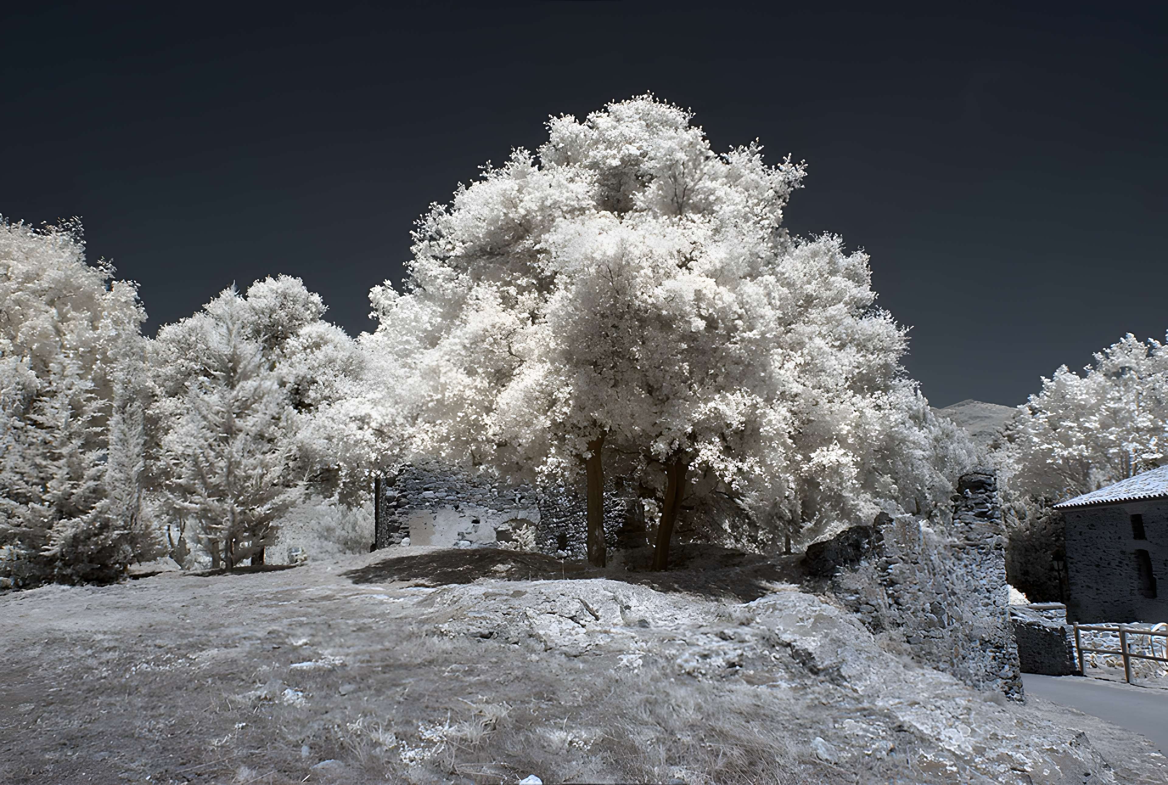 Vestiges des fortifications romaines