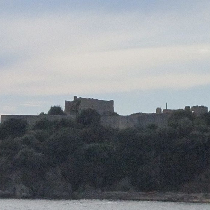 Photo de Fortin de Tizzano de Sartène