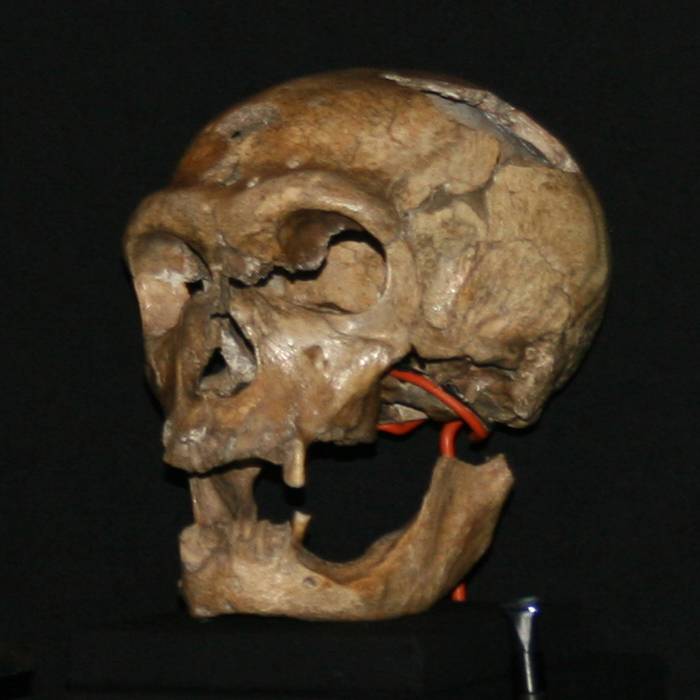 Photo de Gisement préhistorique Bouffia Bonneval à La Chapelle-Saint-Géraud