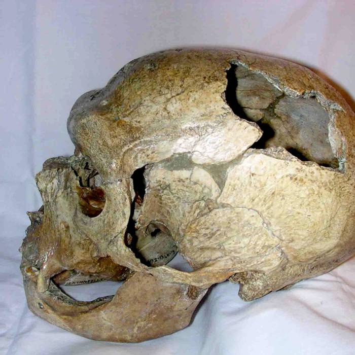 Photo de Gisement préhistorique Bouffia Bonneval à La Chapelle-Saint-Géraud