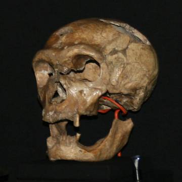 Gisement préhistorique Bouffia Bonneval à La Chapelle-Saint-Géraud