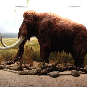 Gisement préhistorique Bouffia Bonneval à La Chapelle-Saint-Géraud