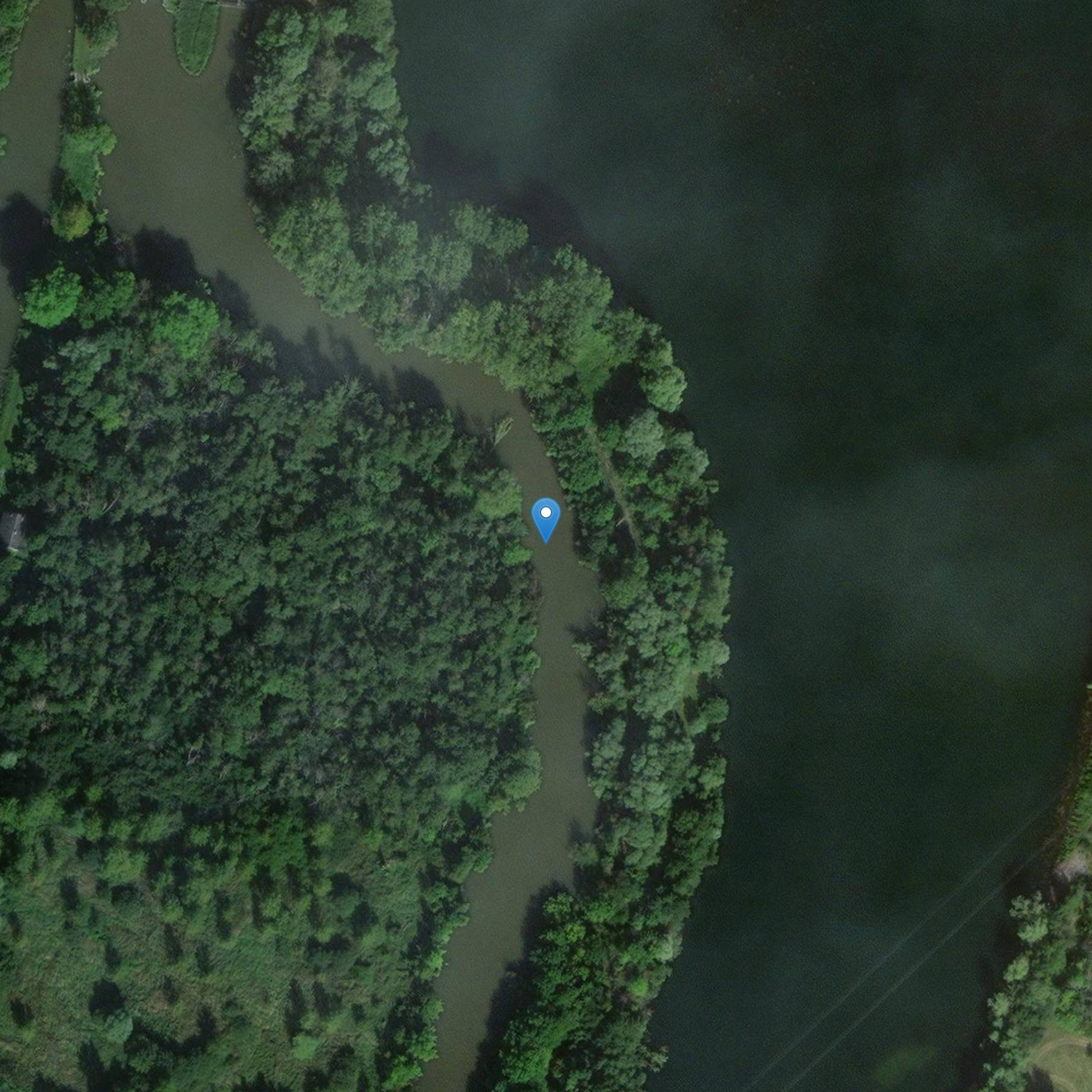 Photo de ホワイトハウスのプレヒストリック・ギスメント