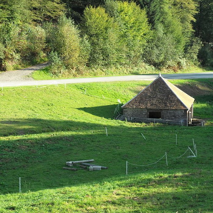 Photo de Fontaine-lavoir de Lomont