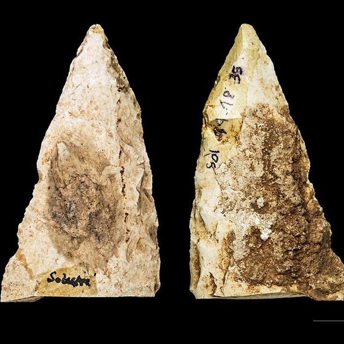 Photo de Gisement préhistorique de Solutré