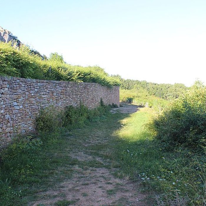 Photo de Gisement préhistorique de Solutré
