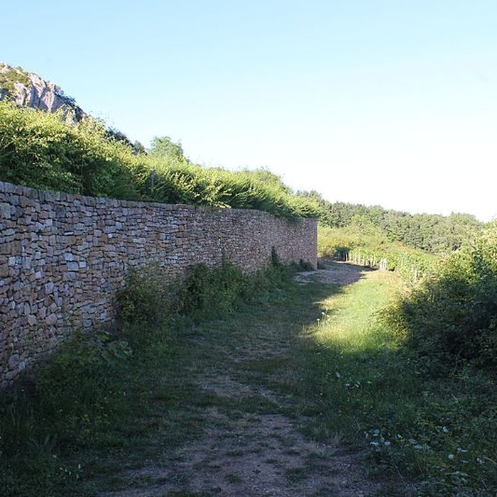 Photo de Gisement préhistorique de Solutré