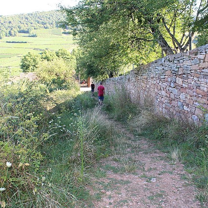 Photo de Gisement préhistorique de Solutré
