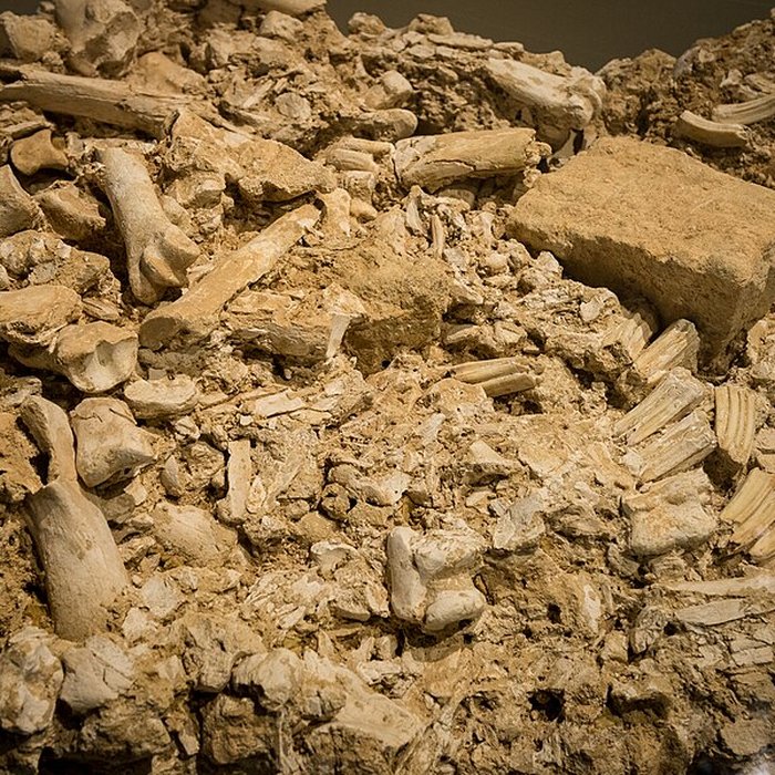 Photo de Gisement préhistorique de Solutré