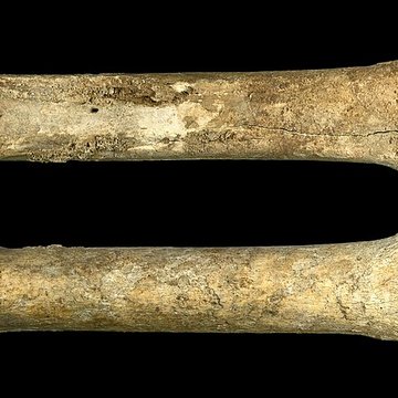 Gisement préhistorique de Solutré