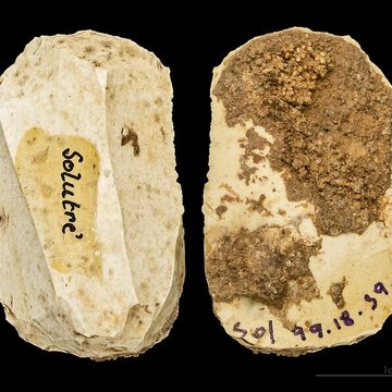 Gisement préhistorique de Solutré