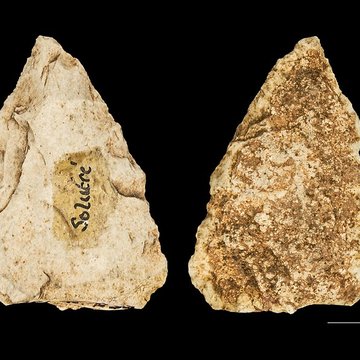 Gisement préhistorique de Solutré