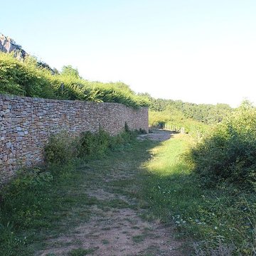 Gisement préhistorique de Solutré