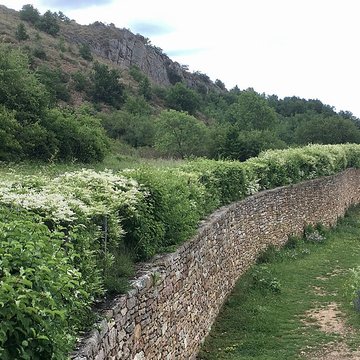 Gisement préhistorique de Solutré