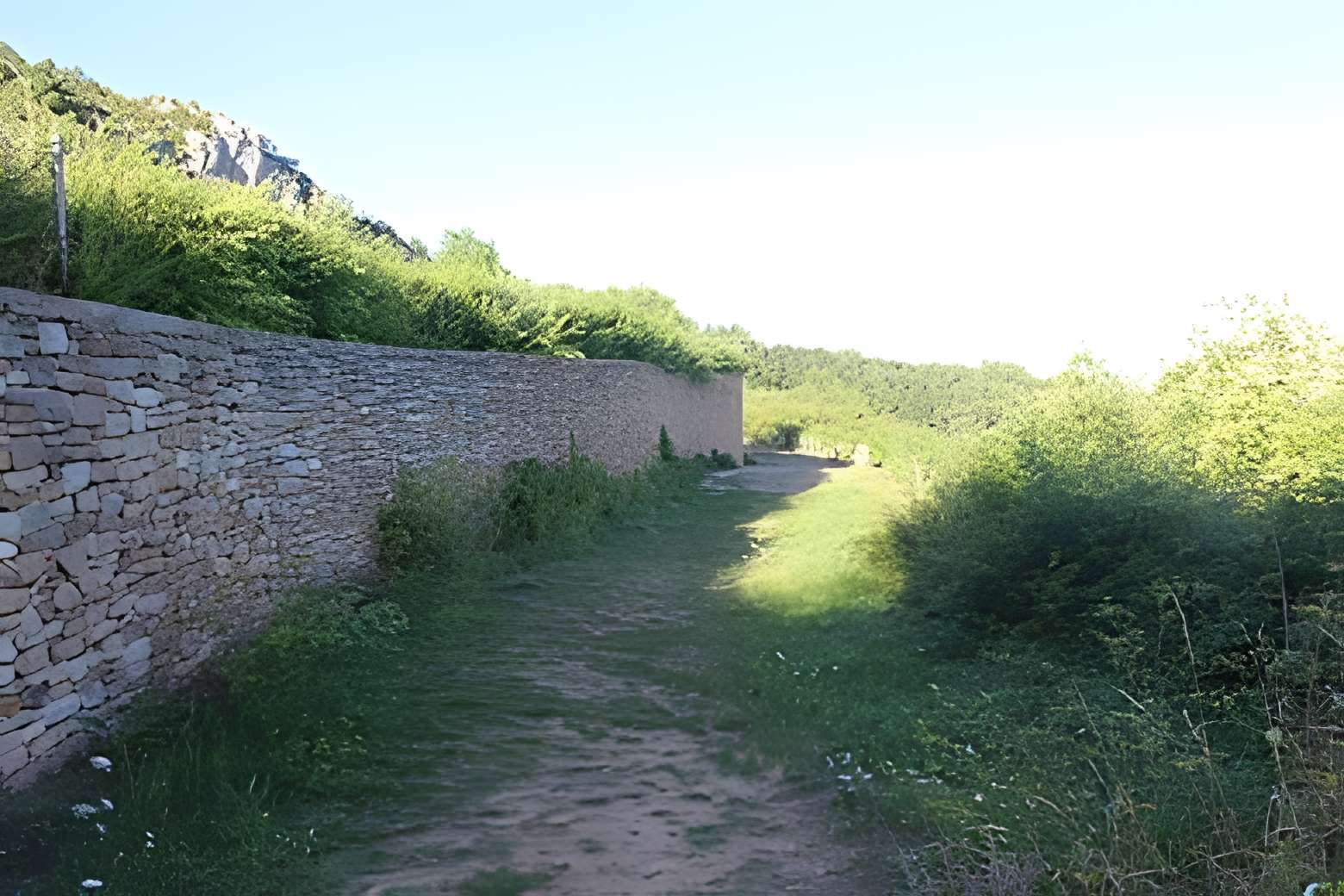 Gisement préhistorique de Solutré 