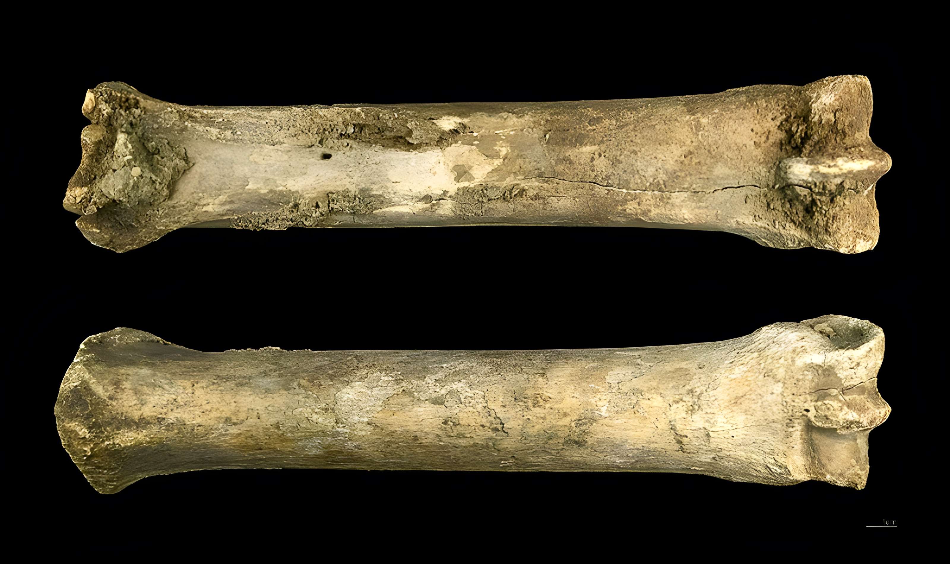 Gisement préhistorique de Solutré