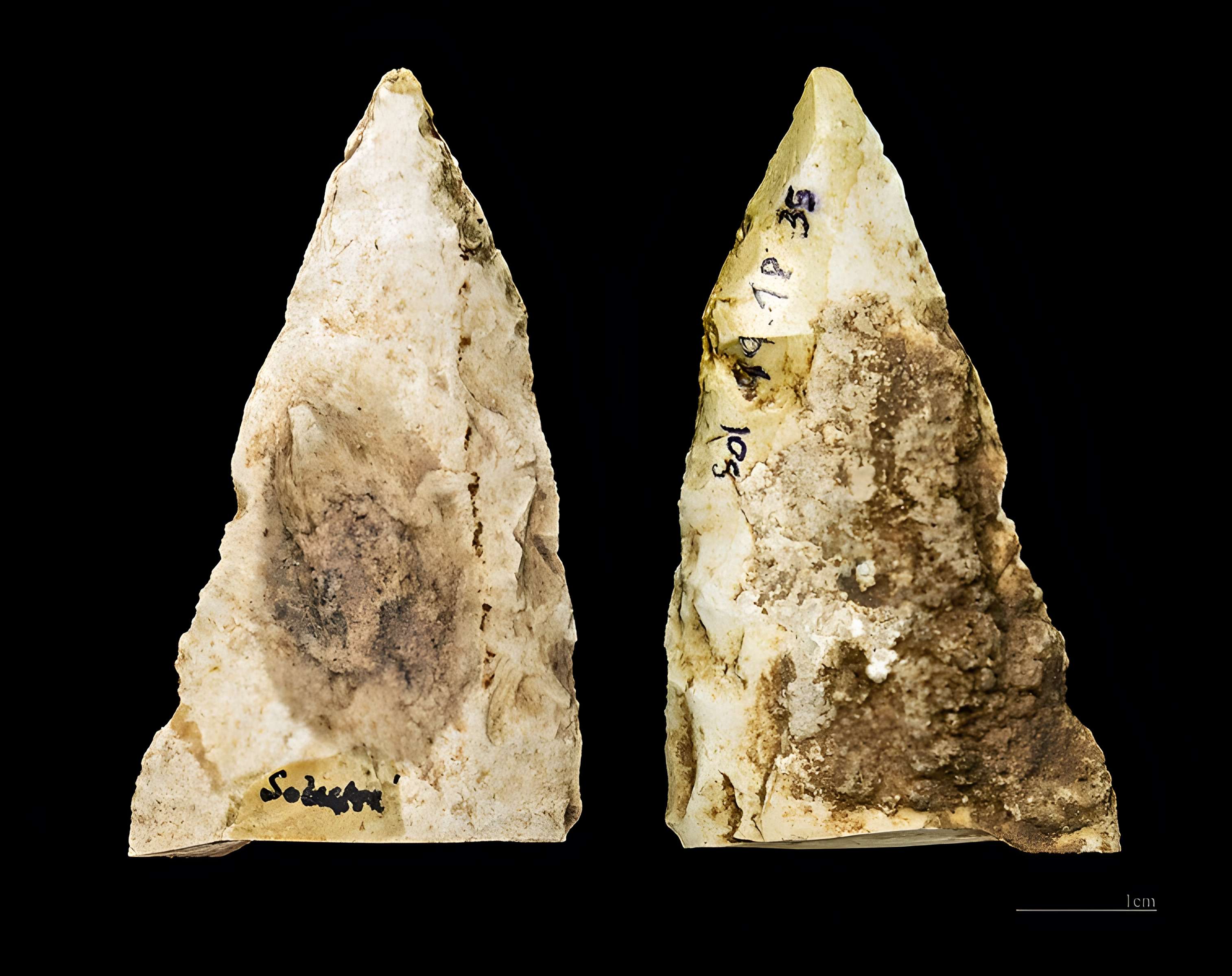 Gisement préhistorique de Solutré